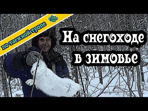 Видео: Охота. Тайга. Заброска на зимовье.
