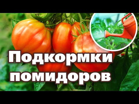 Видео: ПОМИДОРЫ ДАДУТ КРУПНЫЙ УРОЖАЙ, если выполните эти работы