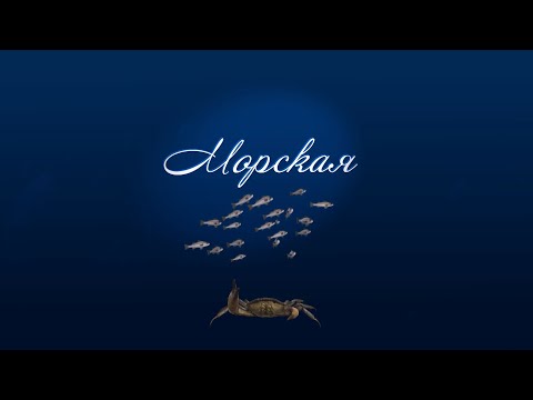 Видео: Морская. Вольный шкипер Фридольф Гек. Продолжение