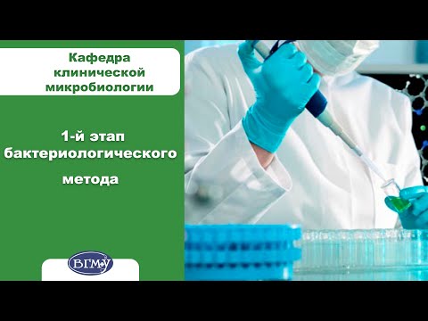 Видео: 5. Первый этап бактериологического метода