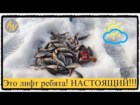 Видео: Окунь на Волге. Ищу лифт с лунки и НАШЁЛ!