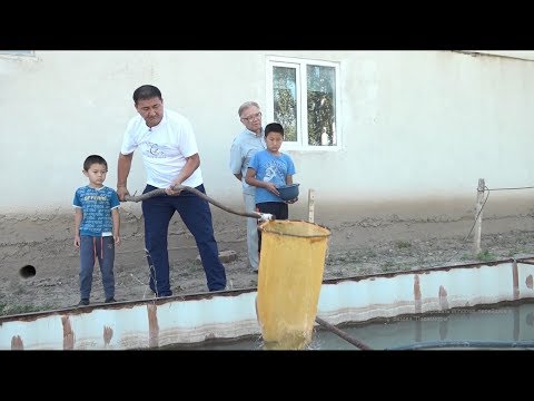 Видео: Жерге байланган ишкер\Акыл заман