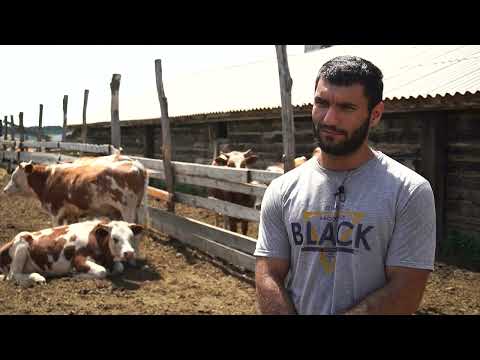 Видео: "Агростартап" - помощь в начале пути.