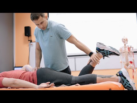 Видео: Владимир Васильев. Курс "Фитнес-кинезиолог". День 3. Взаимосвязи между мышцами