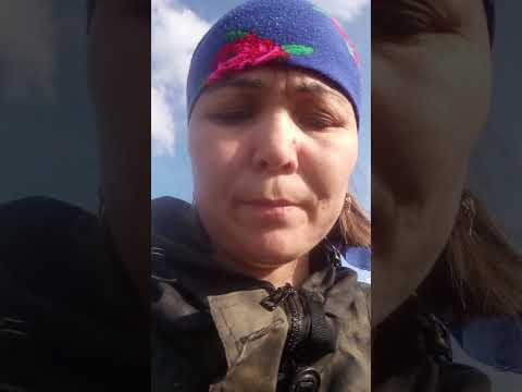 Видео: Едем за клюквой на болотоходе #болотоход #бездорожье 