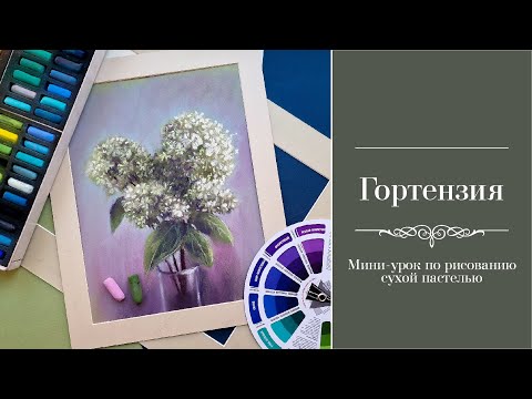 Видео: Как нарисовать гортензию сухой пастелью
