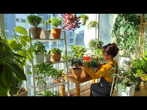 Видео: Весенние растения против переезда 🌱/Отношение к трудной жизни