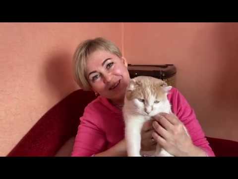 Видео: Пряжи много не бывает! Мои запасы. Часть первая.