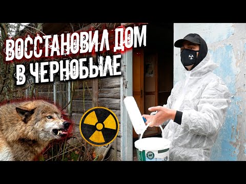 Видео: Ремонт заброшенного дома в Чернобыле. Волки на пороге. Что будет если жить в Зоне Отчуждения?