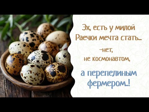 Видео: У Кати домашняя перепелиная ферма и много секретов. Раечка записывает их. Гепалан,Ветоспорин-Ж - био