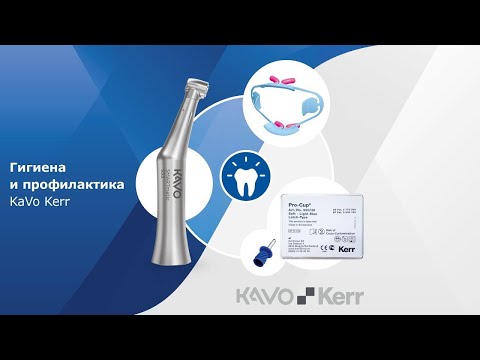 Видео: Гигиена и профилактика KaVo