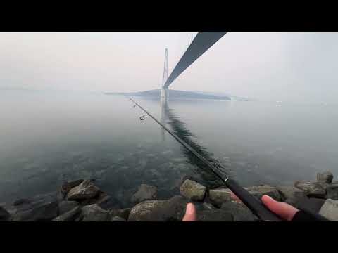 Видео: Рыбалка во Владивостоке. Утро буднего дня