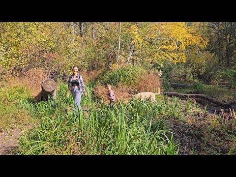 Видео: Погуляли у Черепашьего озера // 28.09.2024