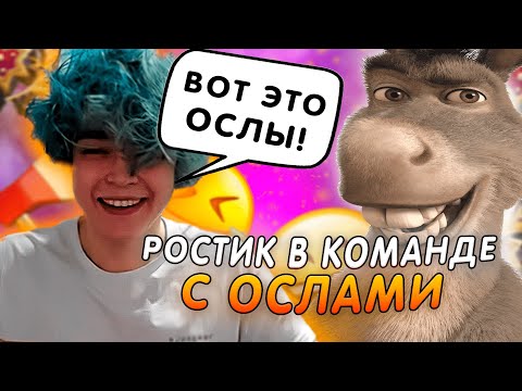 Видео: РОСТИК ПРЕДВОДИТЕЛЬ ОСЛОВ!