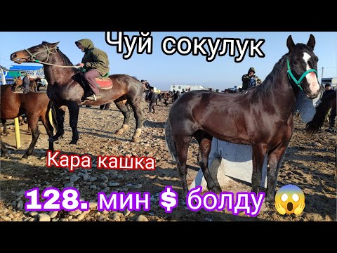 Видео: 15. Февраль рекорд 128. мин болду $ Чуй сокулук жылкы базары