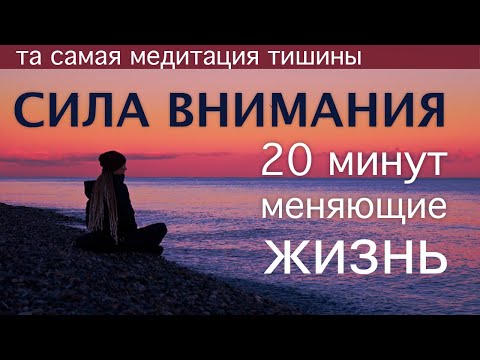Видео: МЕДИТАЦИЯ ТИШИНЫ Ежедневная тренировка фокуса контакта с собой управления жизнью ПРОЦЕСС ПРОБУЖДЕНИЯ