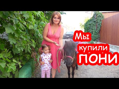 Видео: VLOG Мы купили пони