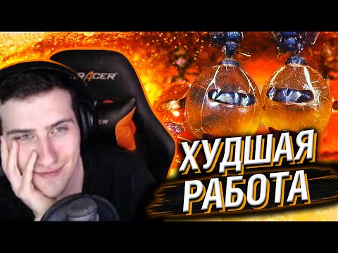 Видео: HELLYEAHPLAY СМОТРИТ: ХУДШАЯ РАБОТА МУРАВЬЕВ