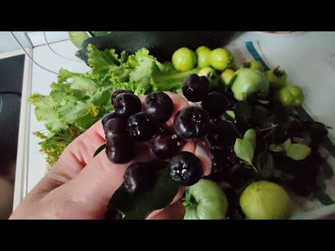 Видео: Вот и лето прошло