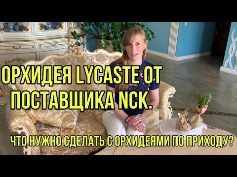 Видео: Орхидея Lycaste от поставщика NCK