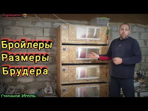 Видео: Бройлеры Размеры Брудера  Как Самому Сделать Брудер  для Бройлеров