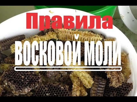 Видео: Правила восковой моли. ПЖЛВМ