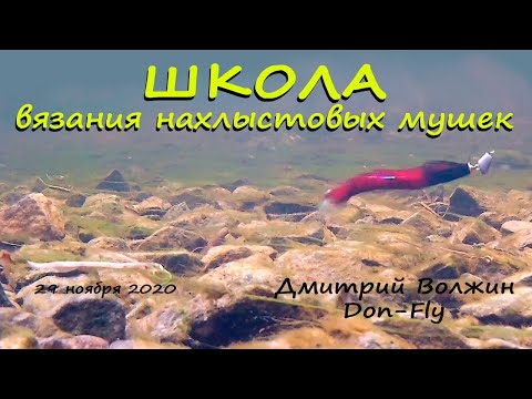 Видео: Школа вязания мушек 29.11.20. MOAL