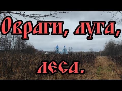 Видео: Овраги, луга, леса. Коп осень 2023.