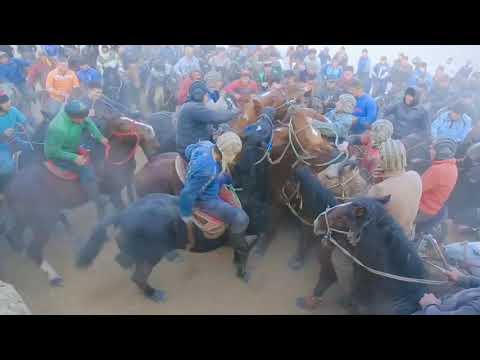 Видео: Аламан улак Бакыт балбан