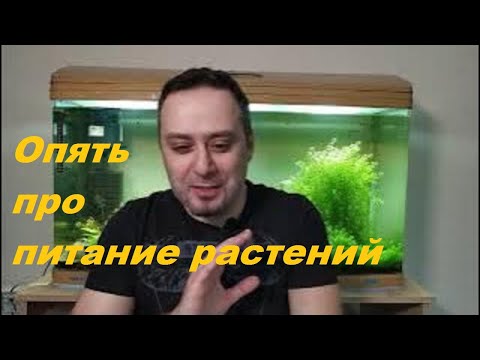 Видео: Еще немного о питании аквариумных растений