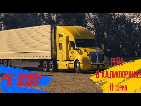 Видео: Сырный рейс в Калифорнию! 2 серия! Vlog 36