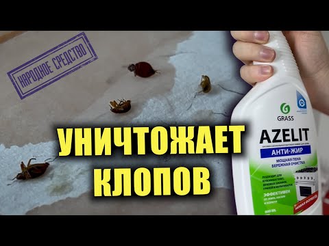 Видео: Клопов МГНОВЕННО ПАРАЛИЗУЕТ и они умирают! Азелит против клопов