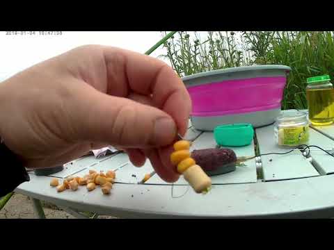 Видео: Рыбалка Кабань " Хутор Лебеди " ( канал )