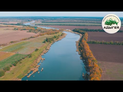 Видео: Ловля карпа и амура осенью на красивом водоеме. Тактика и особенности ловли. Спортивный карпфишинг!