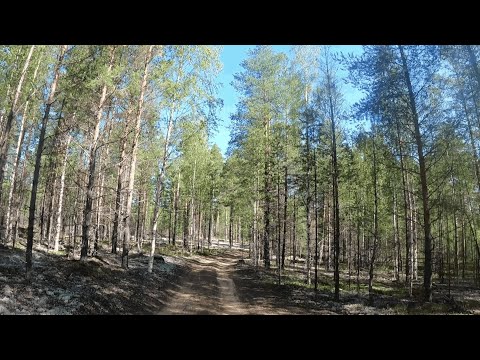 Видео: Велопоход Карелия 2024. Суккозеро-Юшкозеро-Кемь. Часть-3