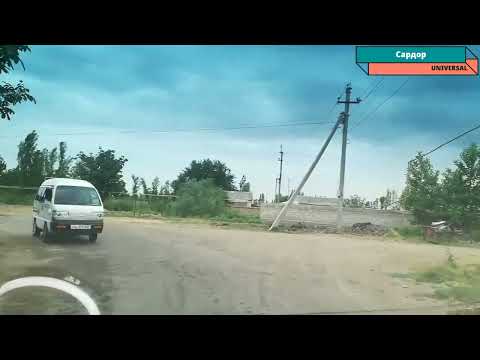 Видео: 9 мая 2025 г. #куйичирчик #тумани