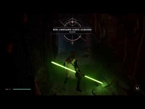 Видео: 29/10/2025 - Разходки