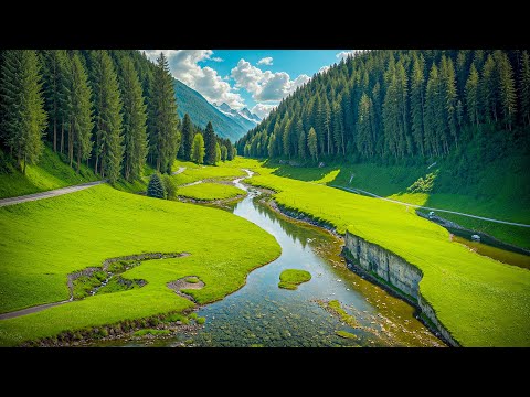 Видео: Отличная расслабляющая спокойная музыка 🍀 Музыка лечит сердце и кровеносные сосуды #2
