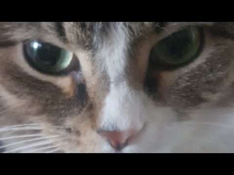 Видео: ОБНОВА В ГКО