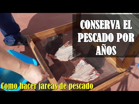 Видео: СОЛНЕЧНЫЙ ДЕГИДРАТОР: Как ДОЛГО СОХРАНИТЬ рыбу БЕЗ холодильника | сделать банки для рыбы