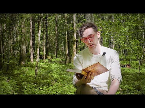 Видео: Чаму барсук і лісіца ў норах жывуць | Казкі