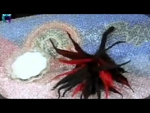 Видео: Мокрое валяние из шерсти. Делаем шарф-сетку, брошь-цветок и колечко. Мастер класс. Наташа Фохтина