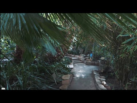 Видео: Какую тайну хранит ботанический сад в Петропавловске?