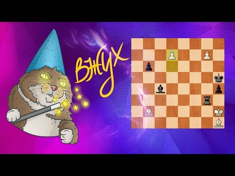 Видео: ШАХМАТНЫЙ ЭТЮД. ВОЛШЕБСТВО НА ШАХМАТНОЙ ДОСКЕ