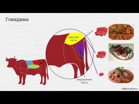 Видео: Видеоурок "Механическая и тепловая обработка мяса."