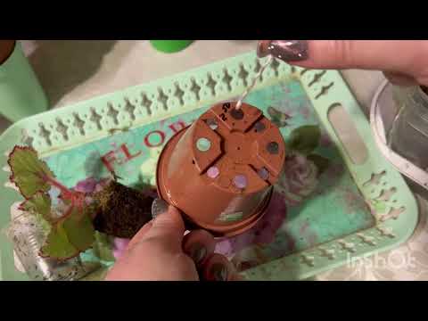 Видео: Основні правила гнотового поливу