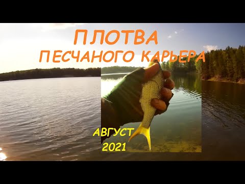 Видео: Ловля плотвы на мах. Песчаный карьер.
