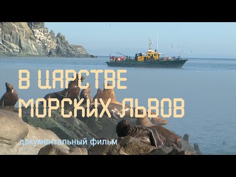 Видео: Охотское море. Курильские острова. Остров Тюлений. Морские львы. Морские котики. Nature of Russia.
