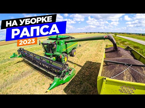 Видео: 🚜Перебросили на уборку "чëрного золота" в три комбайна John Deere.