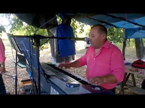 Видео: Весілля  С.  курашівці